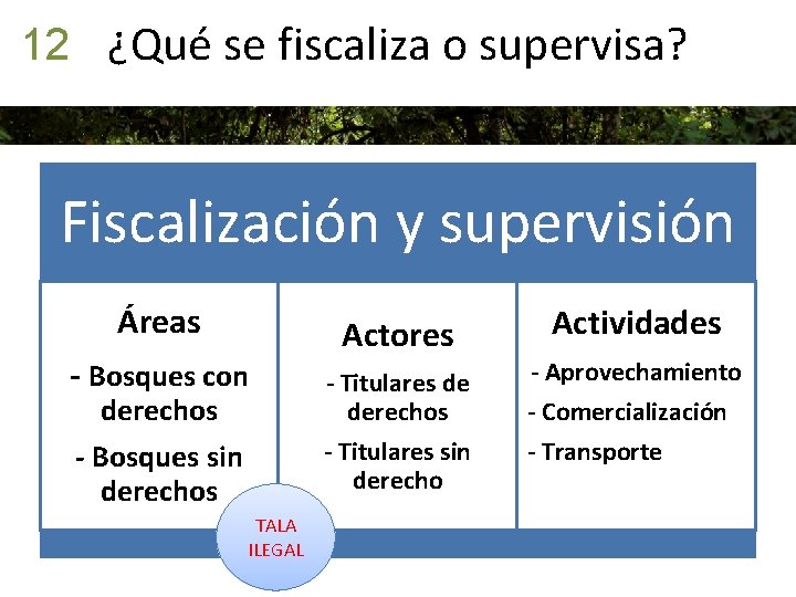 12 ¿Qué se fiscaliza o supervisa? Fiscalización y supervisión Áreas - Bosques con derechos