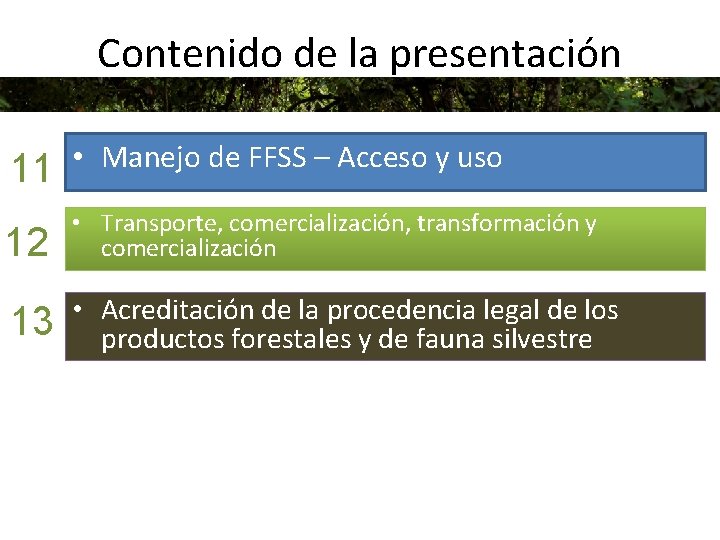 Contenido de la presentación 11 • Manejo de FFSS – Acceso y uso 12