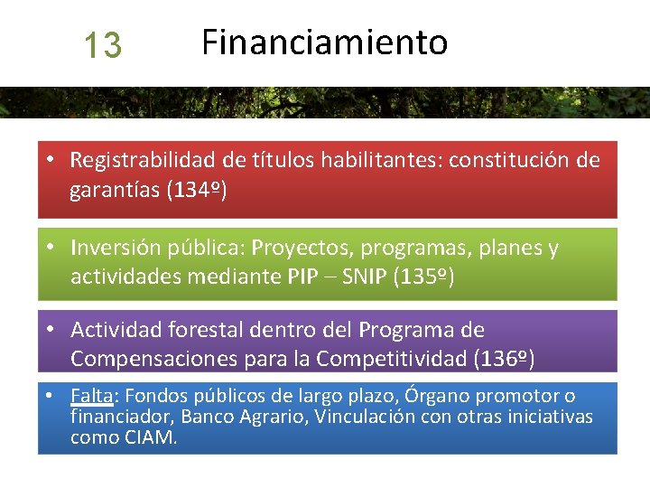 13 Financiamiento • Registrabilidad de títulos habilitantes: constitución de garantías (134º) • Inversión pública: