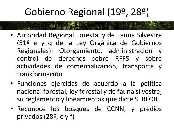 Gobierno Regional (19º, 28º) • Autoridad Regional Forestal y de Fauna Silvestre (51º e