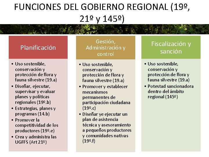 FUNCIONES DEL GOBIERNO REGIONAL (19º, 21º y 145º) Planificación • Uso sostenible, conservación y