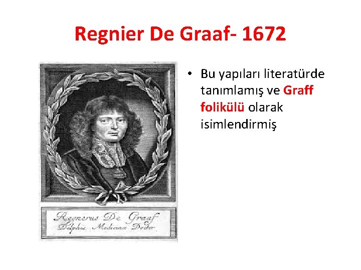 Regnier De Graaf- 1672 • Bu yapıları literatürde tanımlamış ve Graff folikülü olarak isimlendirmiş