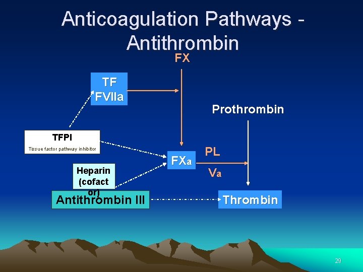 Anticoagulation Pathways - Antithrombin FX TF FVIIa Prothrombin TFPI Tissue factor pathway inhibitor Heparin