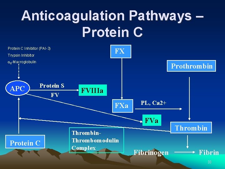 Anticoagulation Pathways – Protein C Inhibitor (PAI-3) FX Trypsin Inhibitor a 2 -Macroglobulin APC