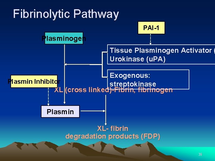 Fibrinolytic Pathway PAI-1 Plasminogen Tissue Plasminogen Activator ( Urokinase (u. PA) Exogenous: Plasmin Inhibitor