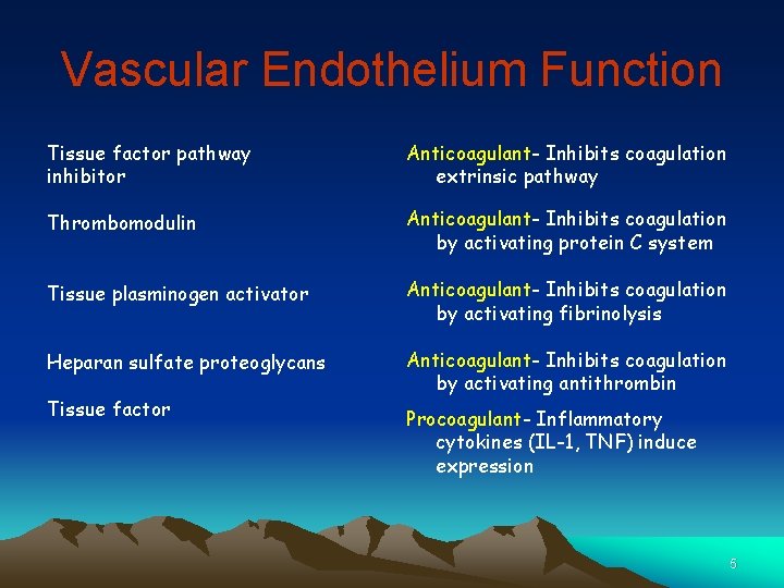 Vascular Endothelium Function Tissue factor pathway inhibitor Anticoagulant- Inhibits coagulation extrinsic pathway Thrombomodulin Anticoagulant-