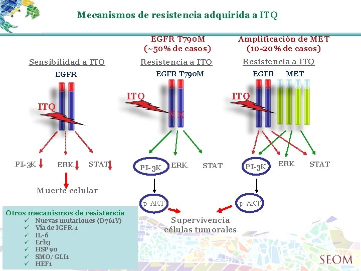 Mecanismos de resistencia adquirida a ITQ EGFR T 790 M (~50% de casos) Sensibilidad