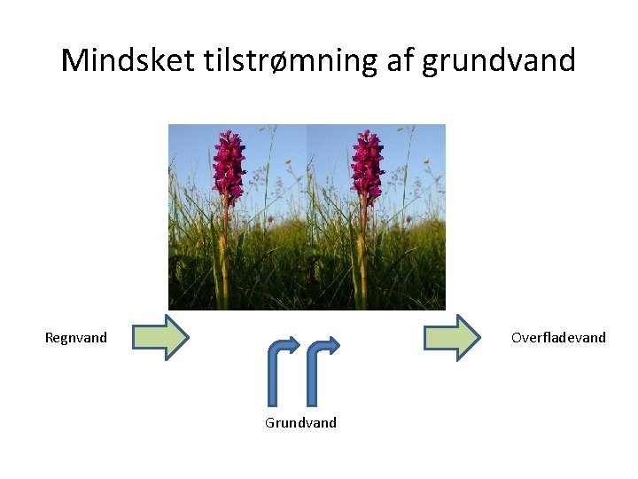 Mindsket tilstrømning af grundvand Regnvand Overfladevand Grundvand 