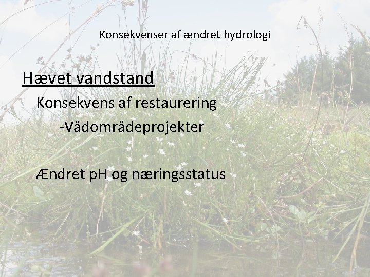 Konsekvenser af ændret hydrologi Hævet vandstand Konsekvens af restaurering -Vådområdeprojekter Ændret p. H og