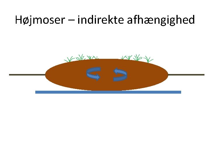 Højmoser – indirekte afhængighed 