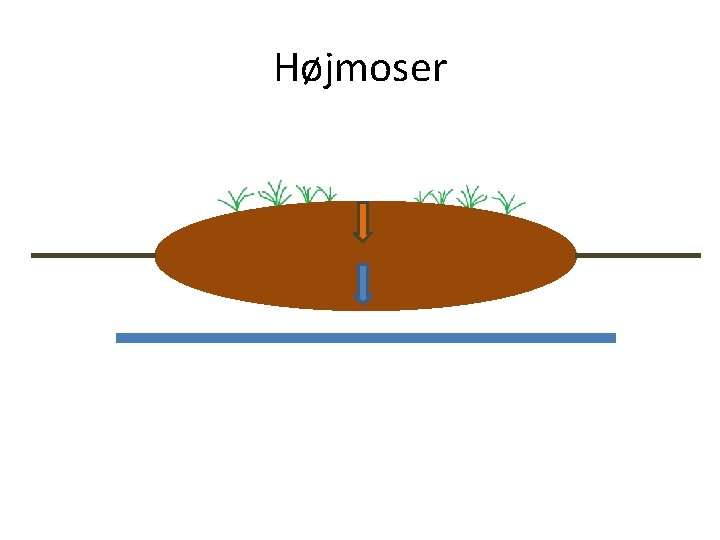 Højmoser 