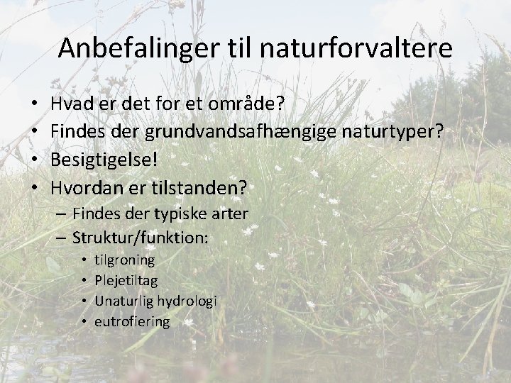 Anbefalinger til naturforvaltere • • Hvad er det for et område? Findes der grundvandsafhængige