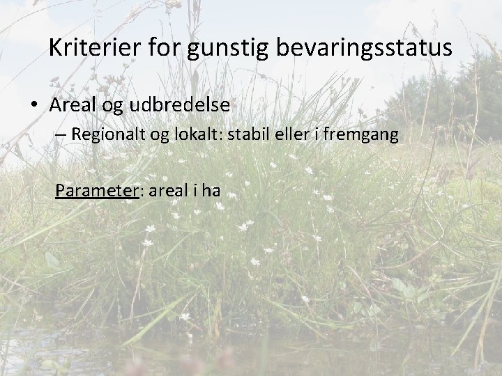 Kriterier for gunstig bevaringsstatus • Areal og udbredelse – Regionalt og lokalt: stabil eller