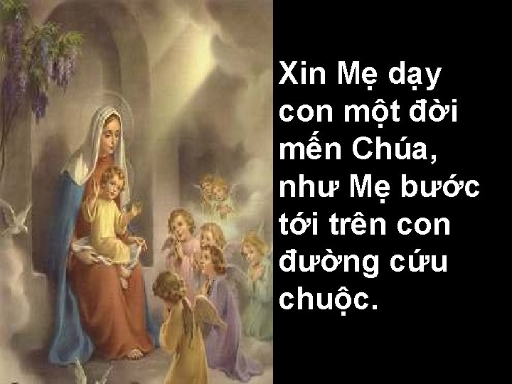 Xin Mẹ dạy con một đời mến Chúa, như Mẹ bước tới trên con