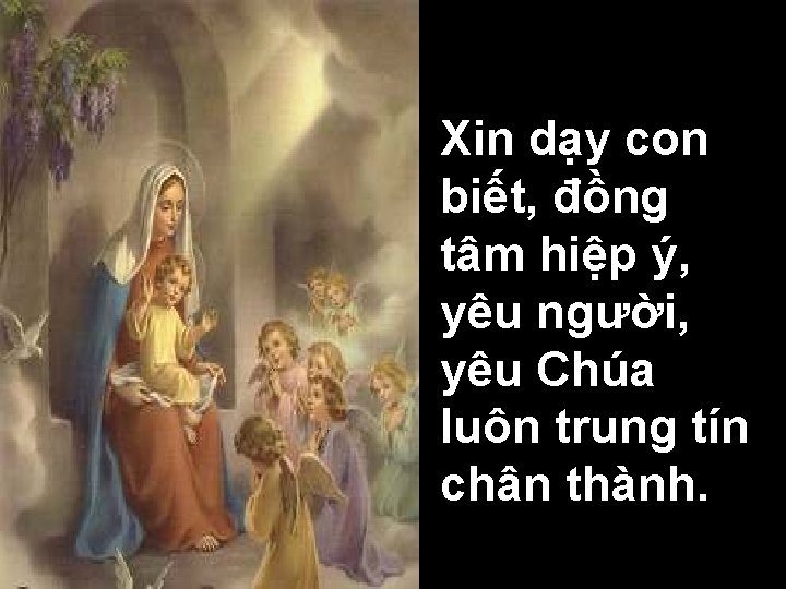 Xin dạy con biết, đồng tâm hiệp ý, yêu người, yêu Chúa luôn trung