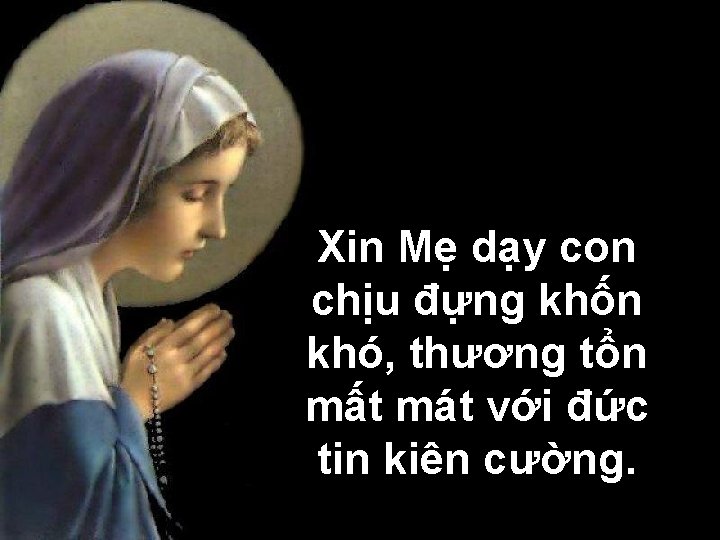 Xin Mẹ dạy con chịu đựng khốn khó, thương tổn mất mát với đức