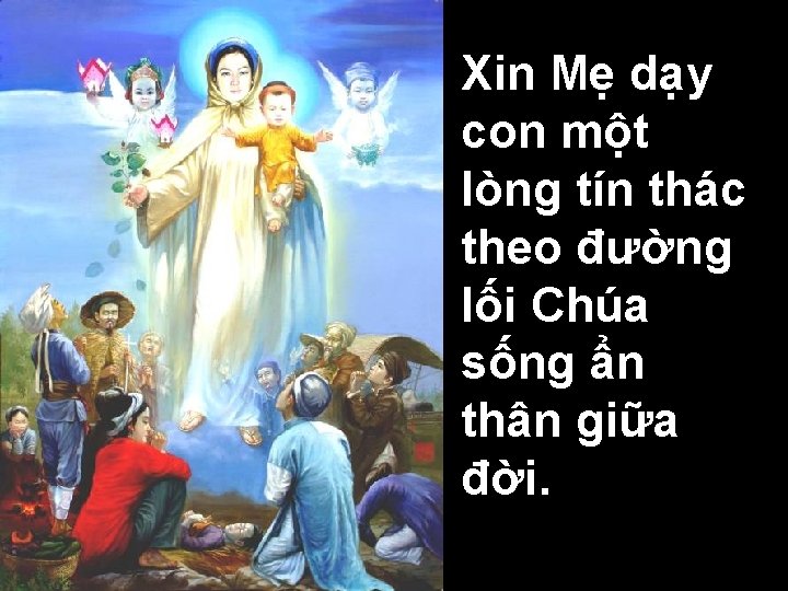 Xin Mẹ dạy con một lòng tín thác theo đường lối Chúa sống ẩn