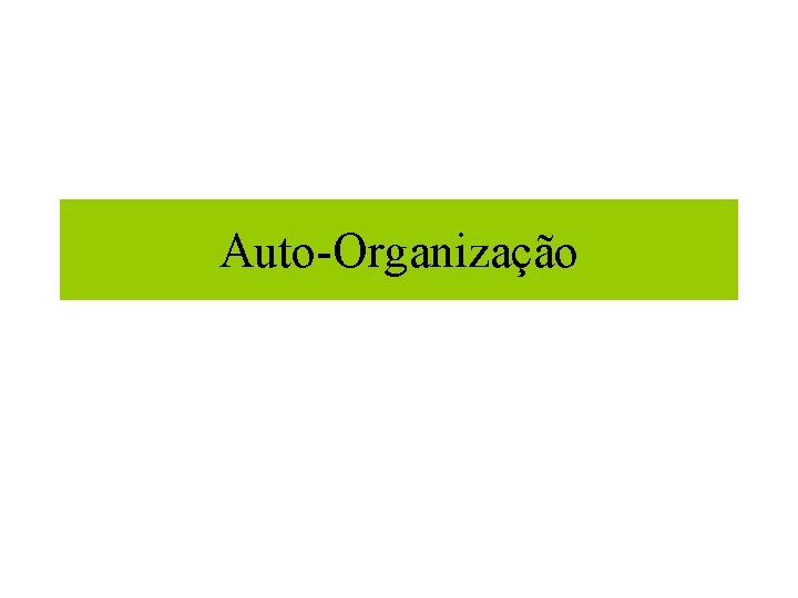 Auto-Organização 