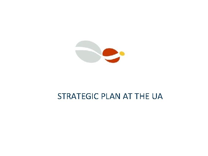 STRATEGIC PLAN AT THE UA 