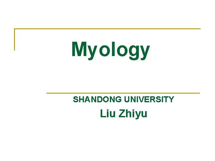 Myology SHANDONG UNIVERSITY Liu Zhiyu 