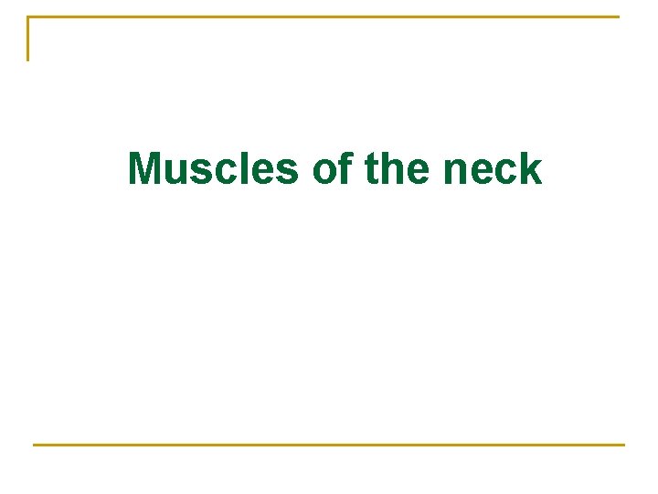 Muscles of the neck 