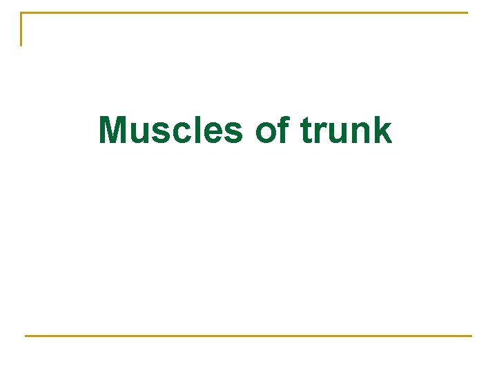 Muscles of trunk 