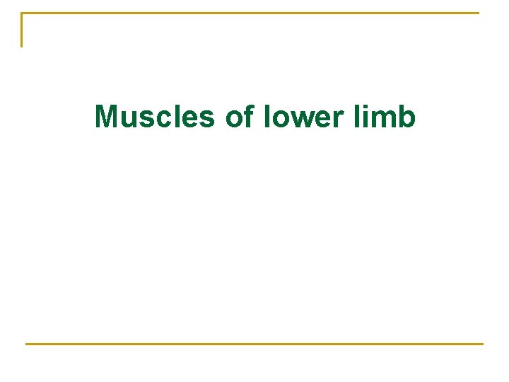 Muscles of lower limb 