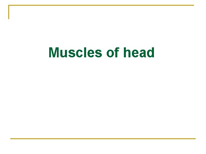 Muscles of head 