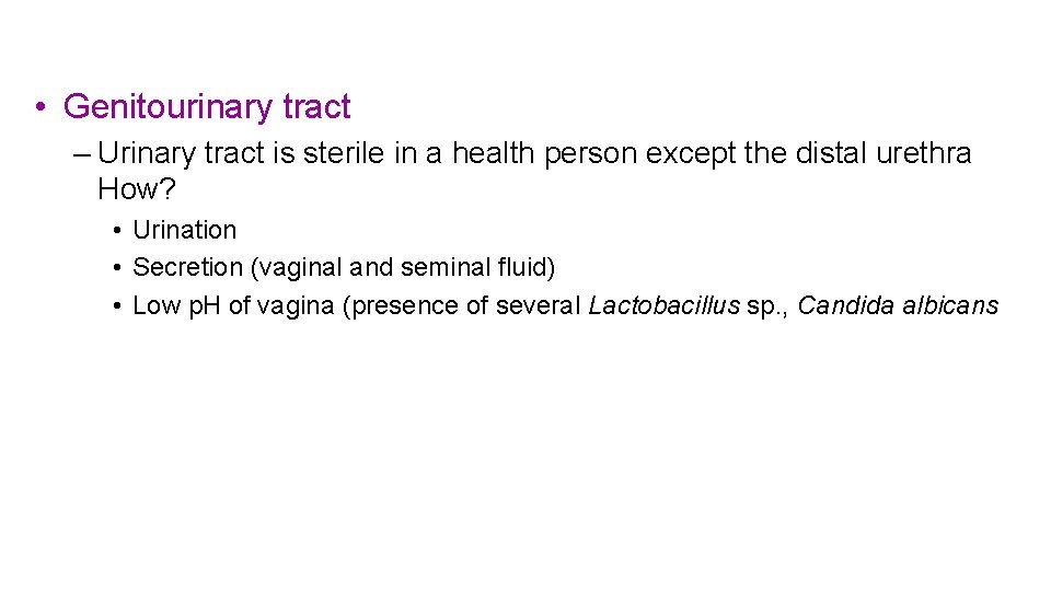  • Genitourinary tract – Urinary tract is sterile in a health person except