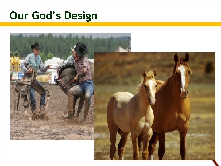 Our God’s Design 
