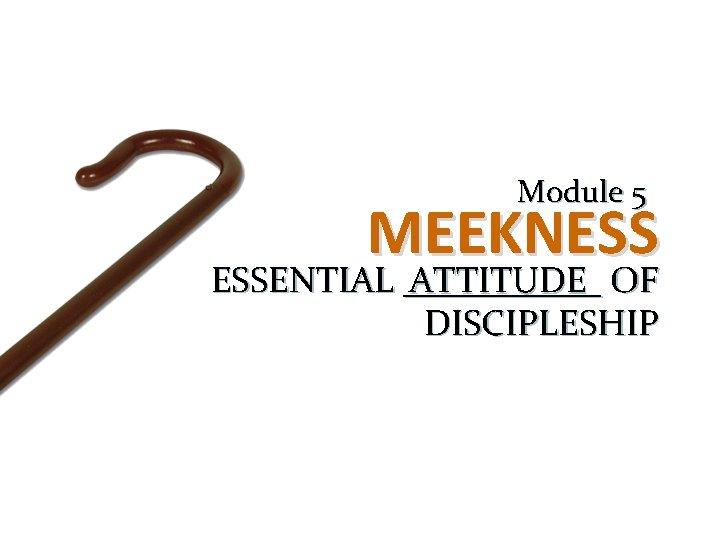 Module 5 MEEKNESS ESSENTIAL ______ ATTITUDE OF DISCIPLESHIP 