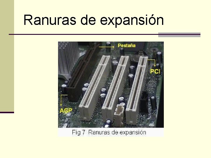 Ranuras de expansión 