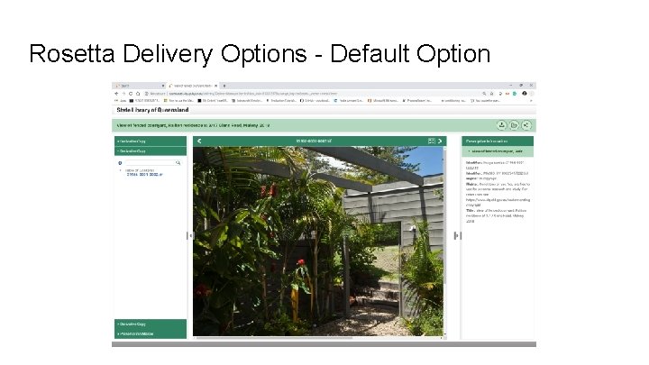 Rosetta Delivery Options - Default Option 