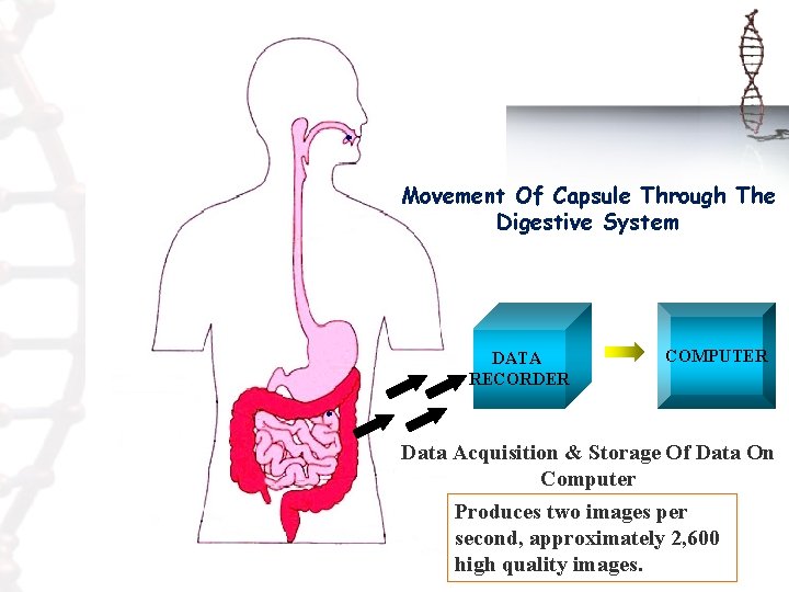 Movement Of Capsule Through The Digestive System DATA RECORDER COMPUTER Data Acquisition & Storage