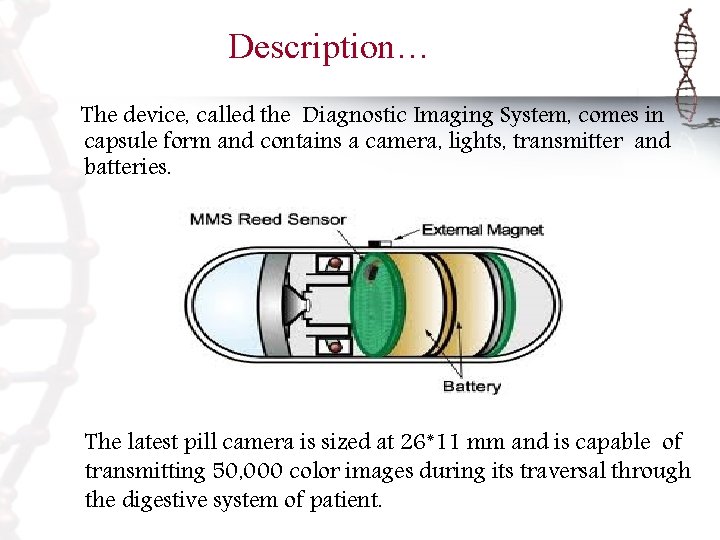 Description… The device, called the Diagnostic Imaging System, comes in capsule form and contains