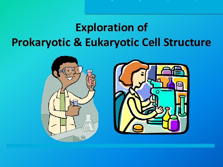 Exploration of Prokaryotic & Eukaryotic Cell Structure 