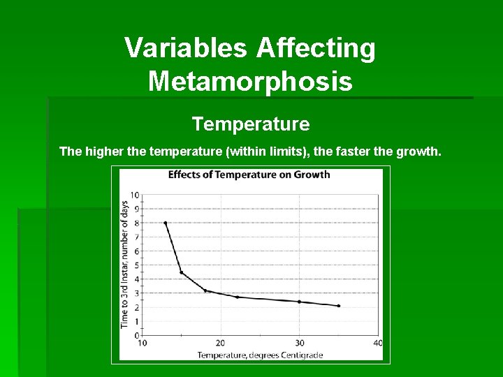 Variables Affecting Metamorphosis Temperature The higher the temperature (within limits), the faster the growth.