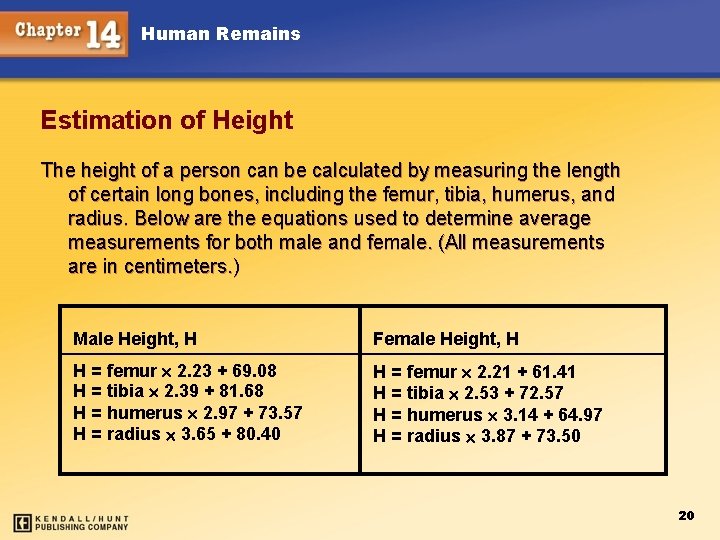 Human Remains Estimation of Height The height of a person can be calculated by