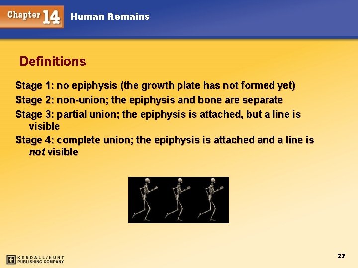 Human Remains Definitions Stage 1: no epiphysis (the growth plate has not formed yet)