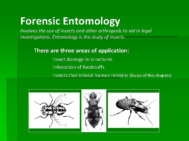 Forensic Entomology Involves the use of insects and other arthropods to aid in legal