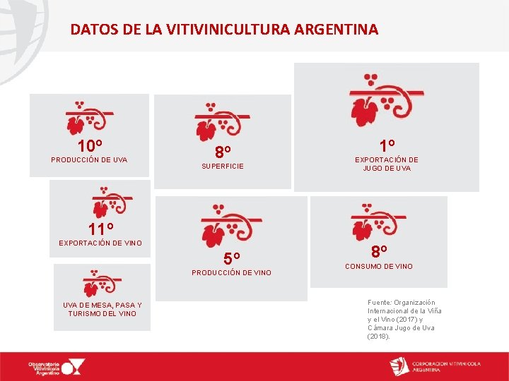 DATOS DE LA VITIVINICULTURA ARGENTINA 10º PRODUCCIÓN DE UVA 8º SUPERFICIE 1º EXPORTACIÓN DE