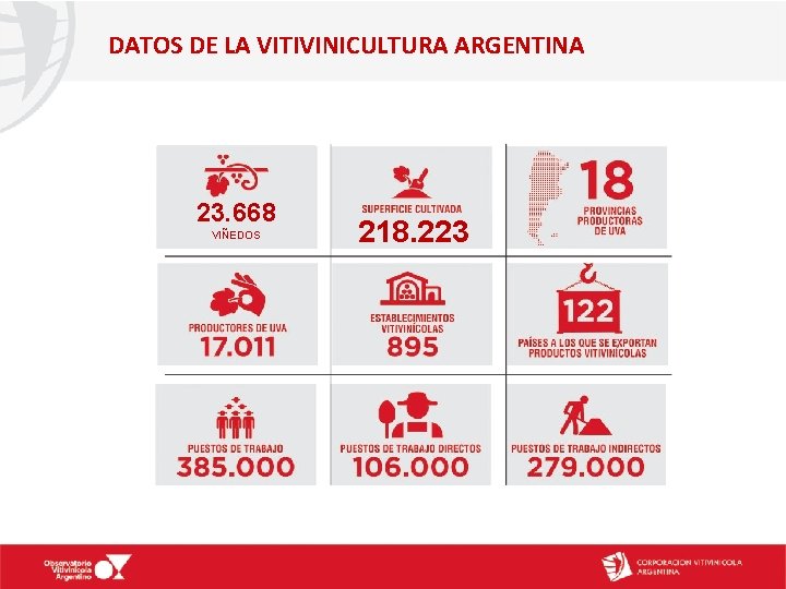 DATOS DE LA VITIVINICULTURA ARGENTINA 23. 668 VIÑEDOS 218. 223 