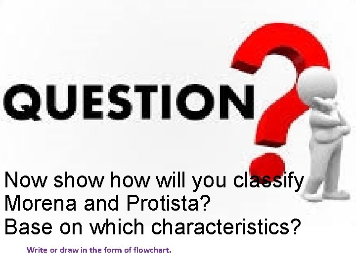 Now show will you classify Morena and Protista? Base on which characteristics? Write or