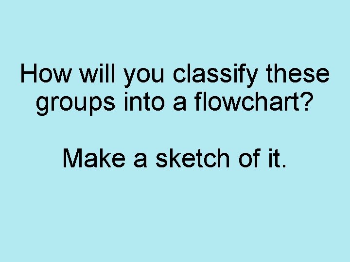 How will you classify these groups into a flowchart? Make a sketch of it.