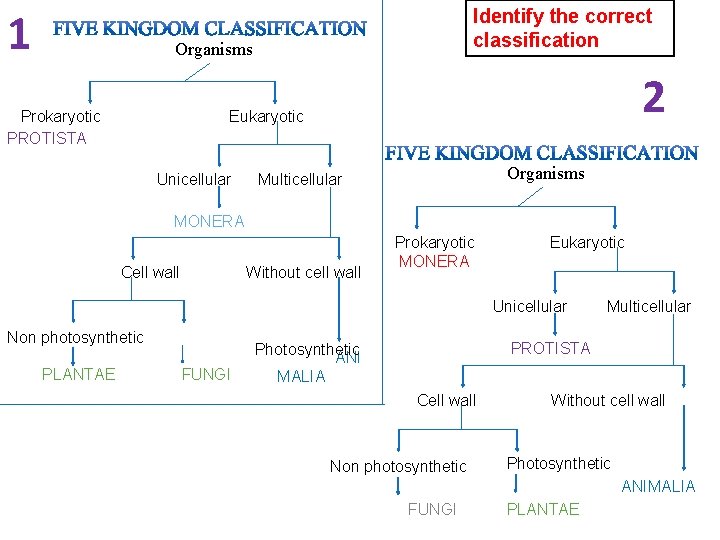 1 Identify the correct classification Organisms Prokaryotic PROTISTA 2 Eukaryotic Unicellular Organisms Multicellular MONERA