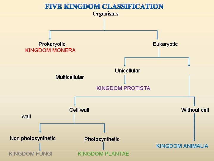 Organisms Prokaryotic KINGDOM MONERA Eukaryotic Unicellular Multicellular KINGDOM PROTISTA Cell wall Without cell wall