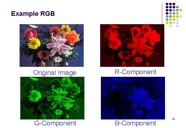 Example RGB Original Image G-Component R-Component B-Component 20 