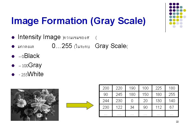 Image Formation (Gray Scale) l l l Intensity Image )ความเขมของส ( มคาตงแต 0… 255