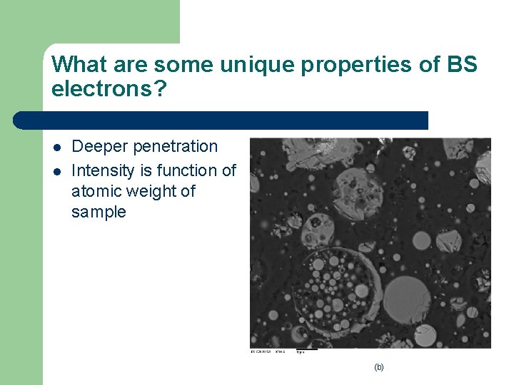 What are some unique properties of BS electrons? l l Deeper penetration Intensity is What are some unique properties of BS electrons? l l Deeper penetration Intensity is