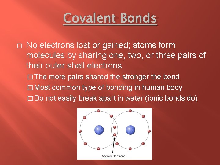 Covalent Bonds � No electrons lost or gained; atoms form molecules by sharing one,